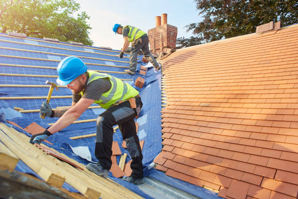 Best Roof Insulation Installation  in Miles, TX